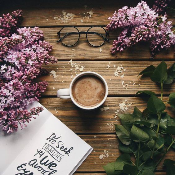 What Is Bookstagram? #Bookstagram Explained - Shop Catalog