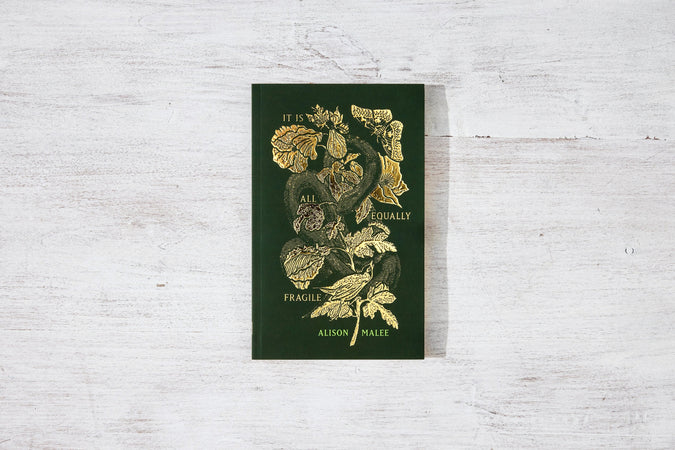 It Is All Equally Fragile - Shop Catalog