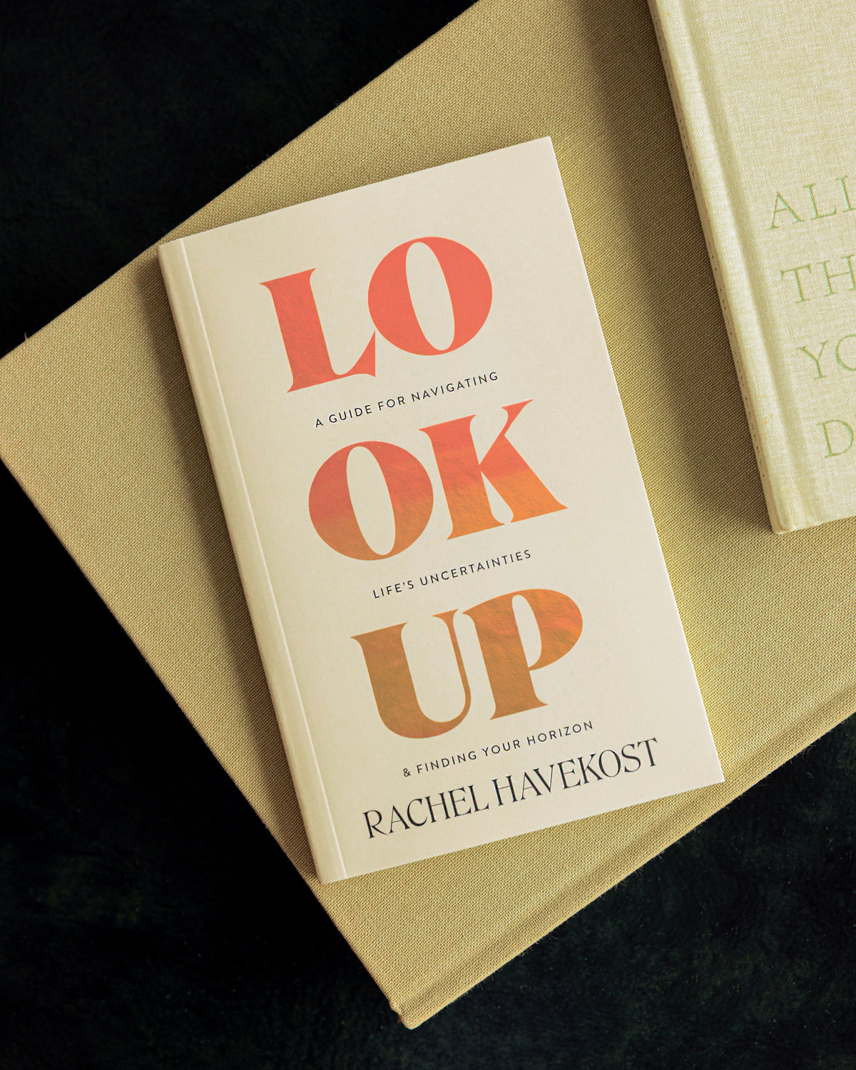 Look Up: A Guide for Navigating Life's Uncertainties and Finding Your Horizon