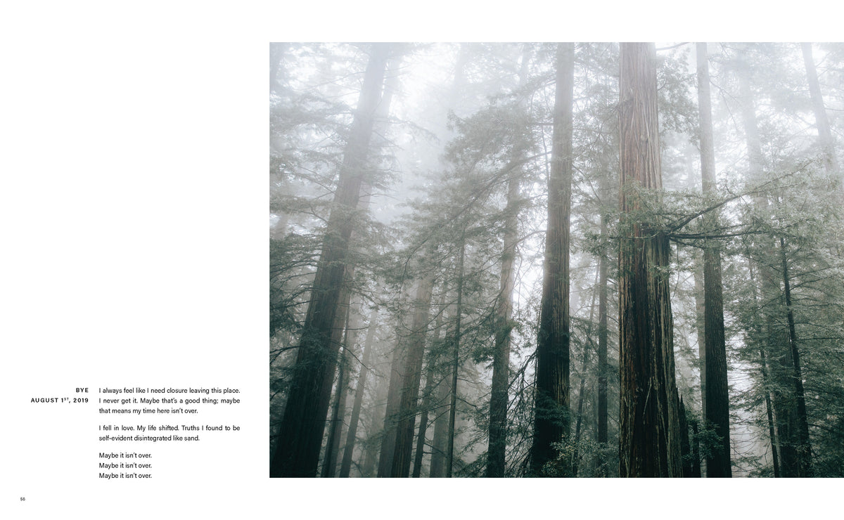 Tall forest trees recede into pale fog. The accompanying passage is transcribed below.