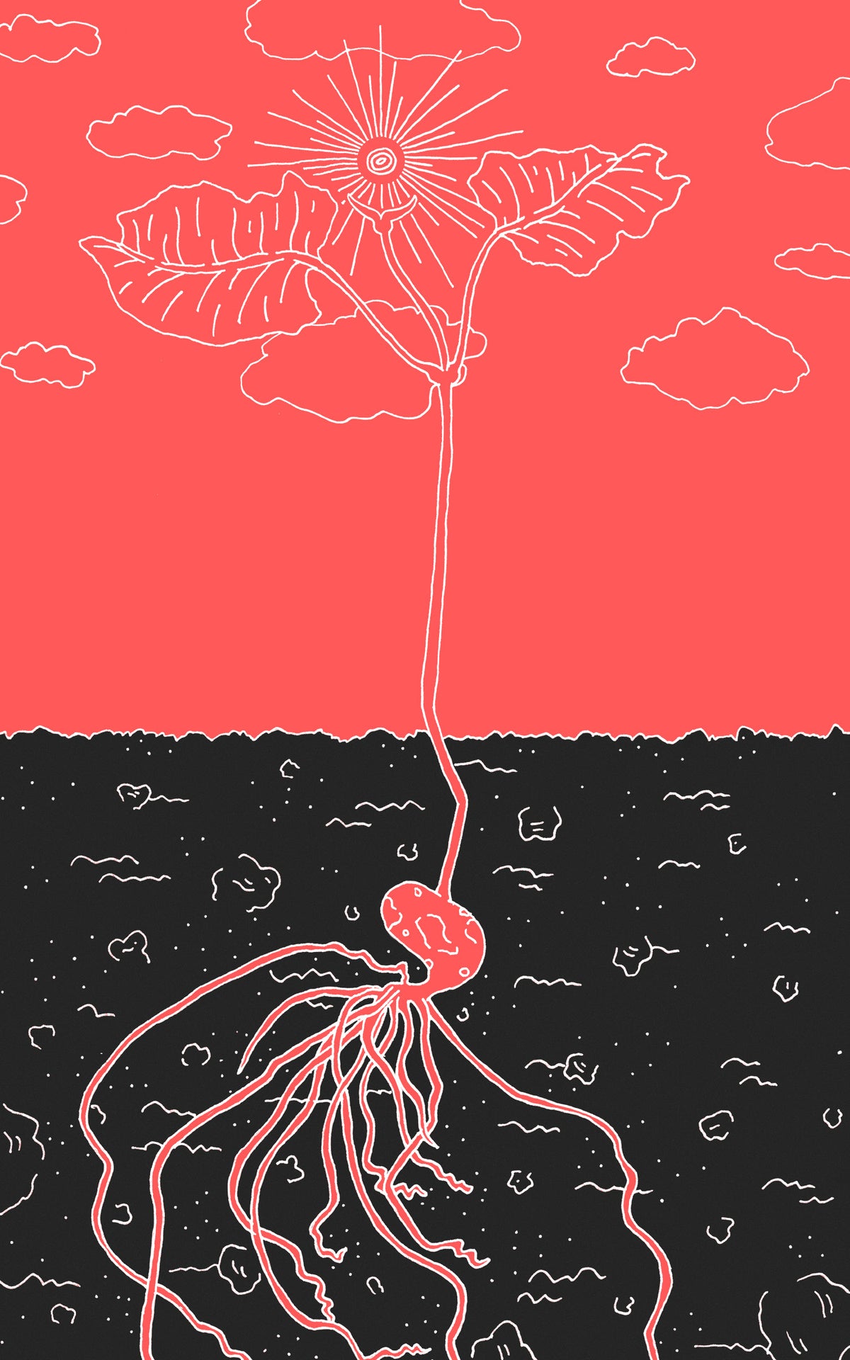 Illustration of a plant with two leaves above ground and a heart-shaped root branching beneath the soil; a sun and clouds fill the red sky.