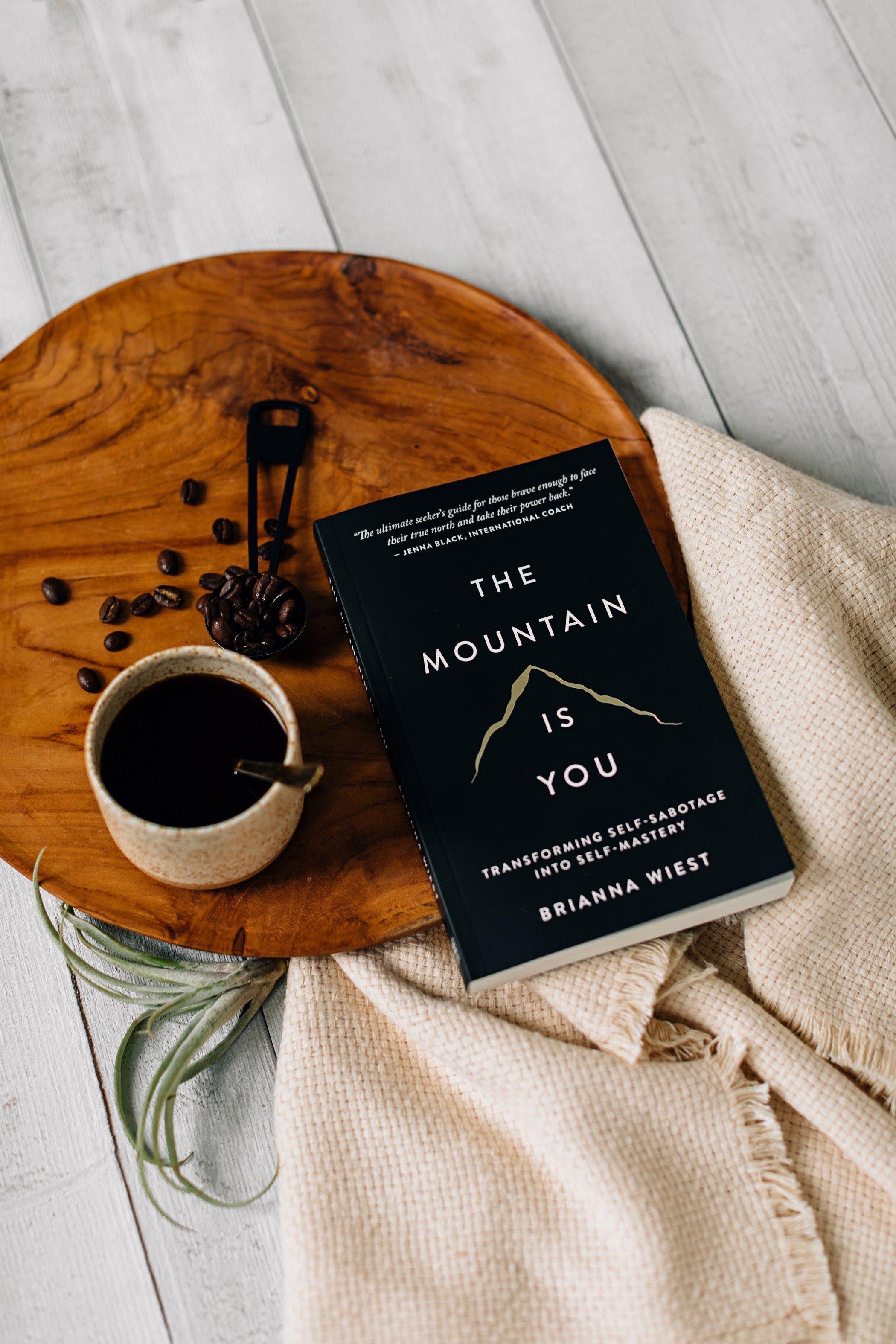 The Mountain Is You by Brianna Wiest Shop Catalog