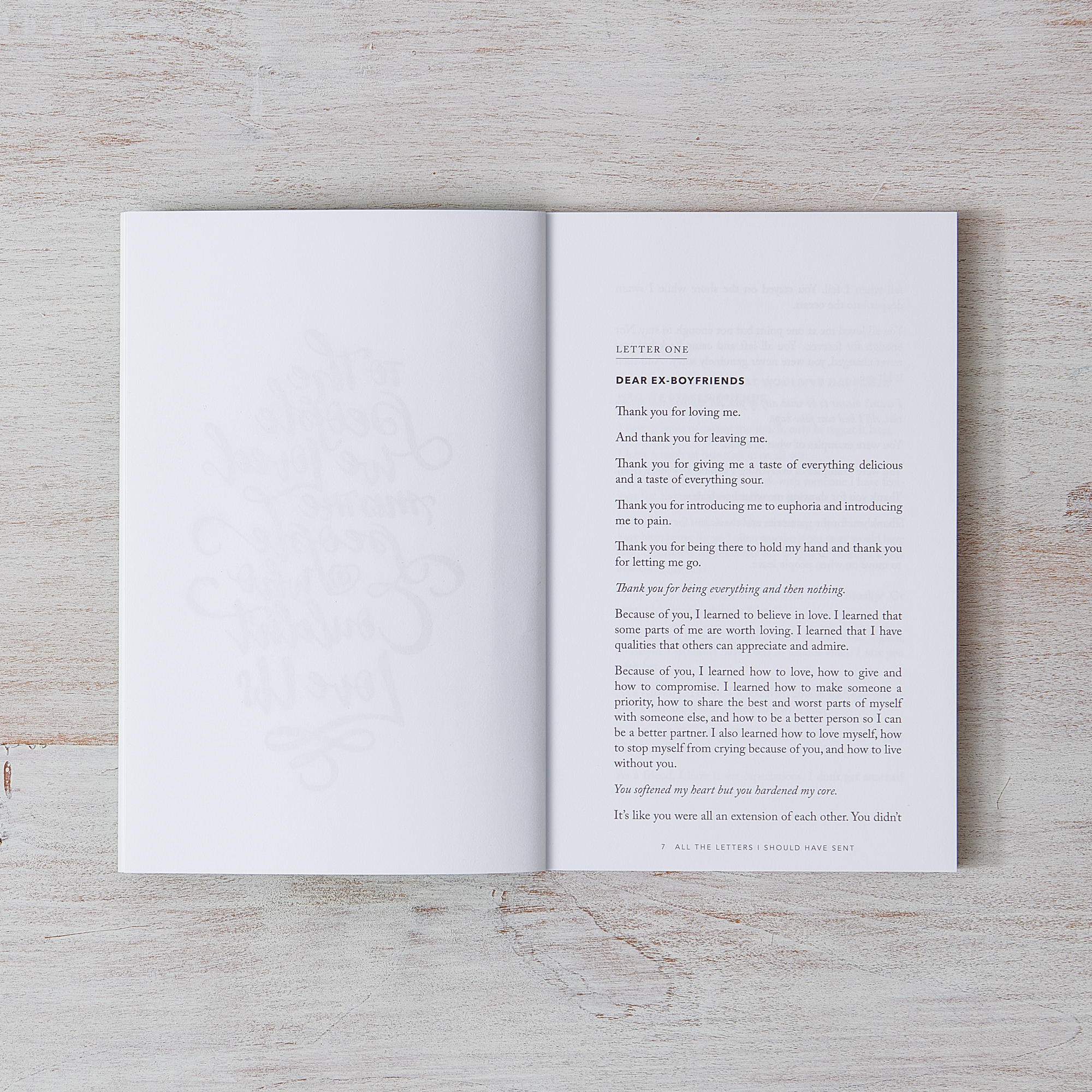 All The Letters I Should Have Sent by Rania Naim | Shop Catalog